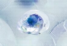 hypernet digital analytics service